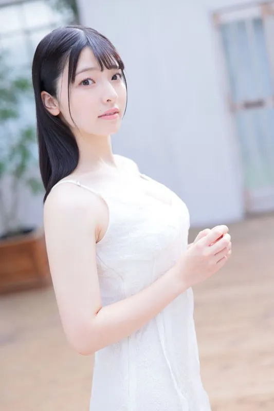 白鸟回廊热度榜第四